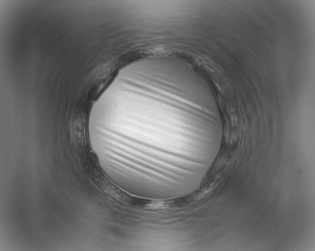 X0000059250425200511111646