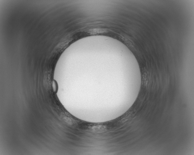 X0000059250426200511111646