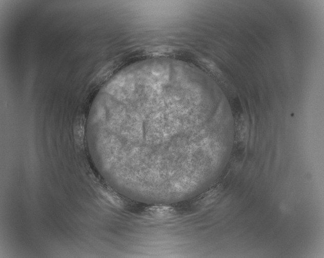 X0000059250427200511111646