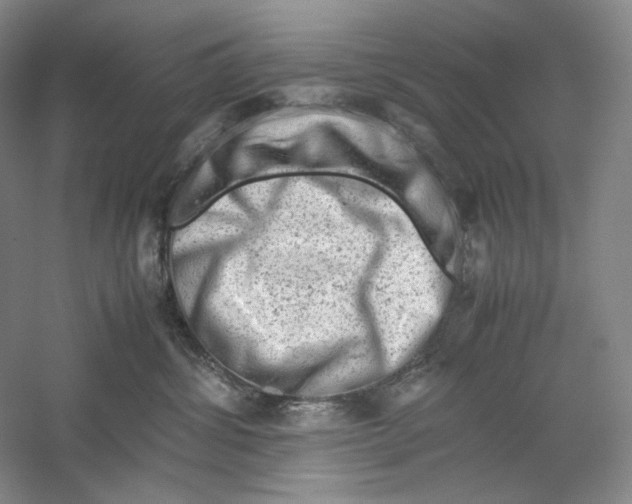 X0000059250428200511111646