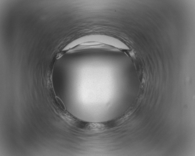 X0000059250429200511111646