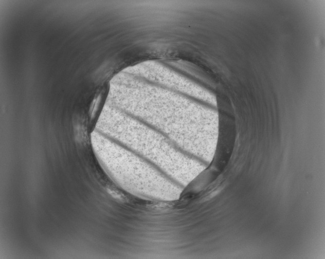 X0000059250432200511111646