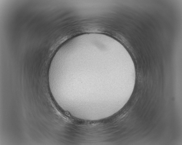 X0000059250433200511111645