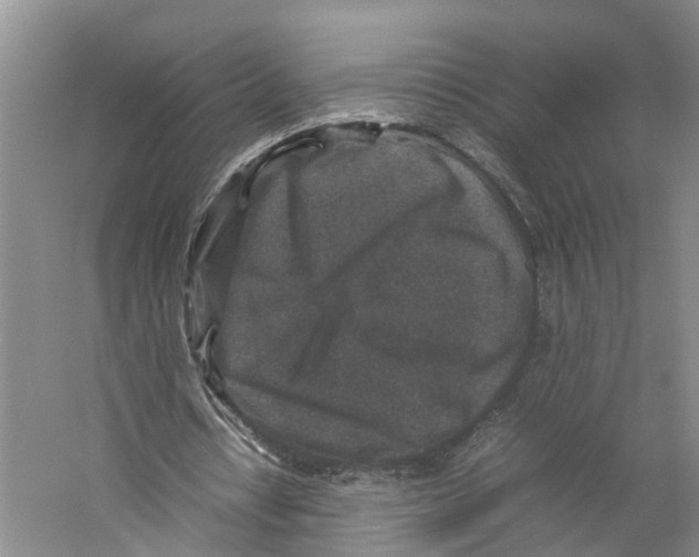 X0000059250434200511111645