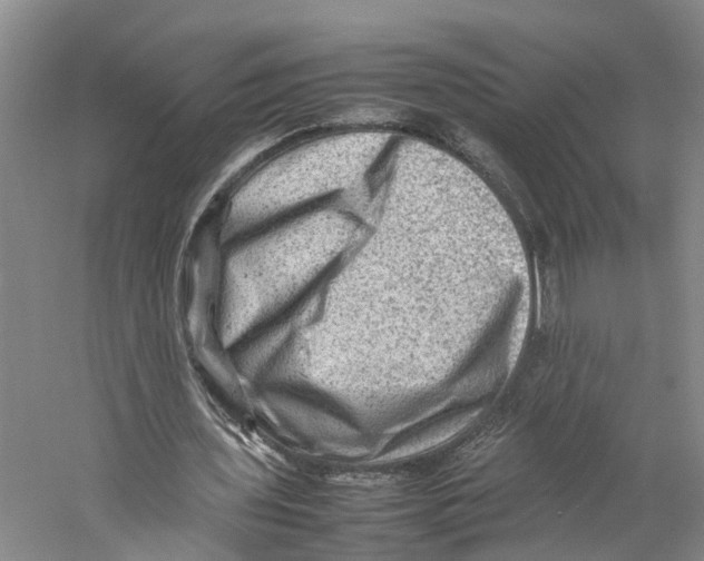 X0000059250435200511111645