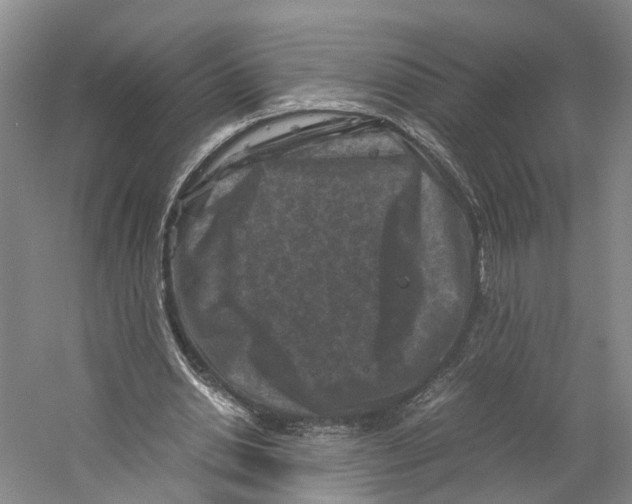 X0000059250438200511111645