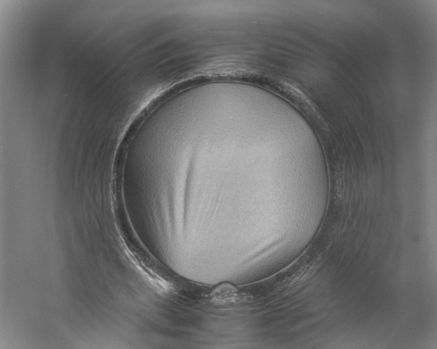 X0000059250439200511111645