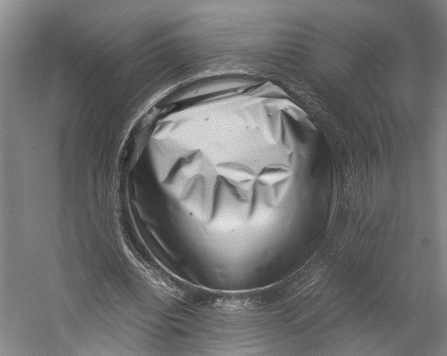 X0000059250440200511111645