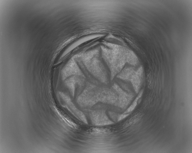 X0000059250442200511111645