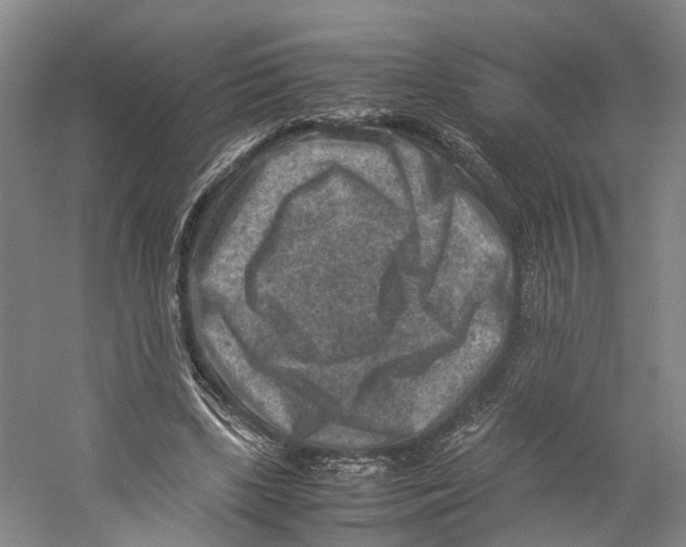 X0000059250443200511111645