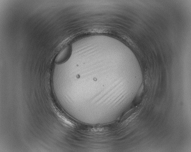 X0000059250445200511111645