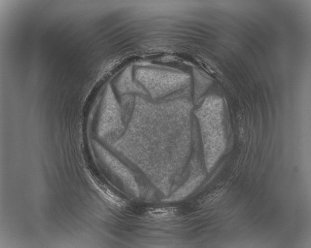 X0000059250447200511111645