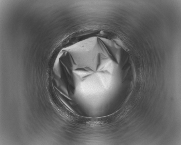 X0000059250448200511111645