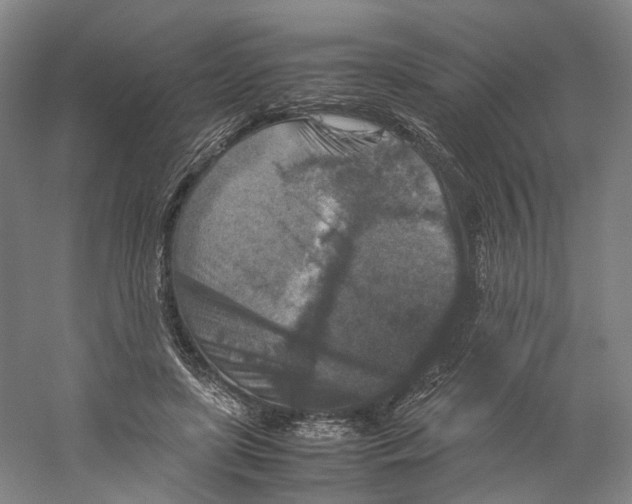 X0000059250451200511111645