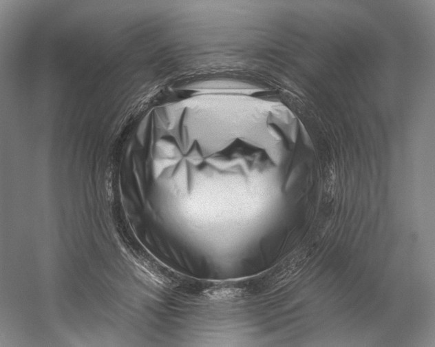 X0000059250452200511111645