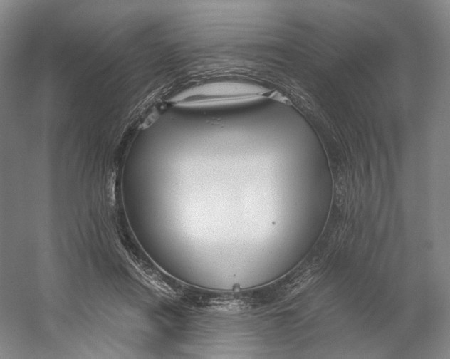 X0000059250454200511111645