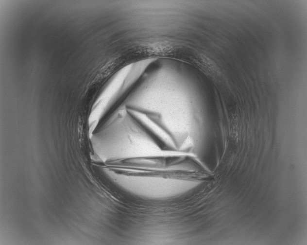 X0000059250456200511111645