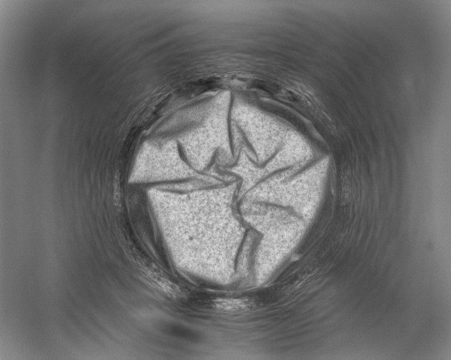 X0000059250457200511111645