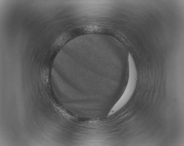 X0000059250458200511111645