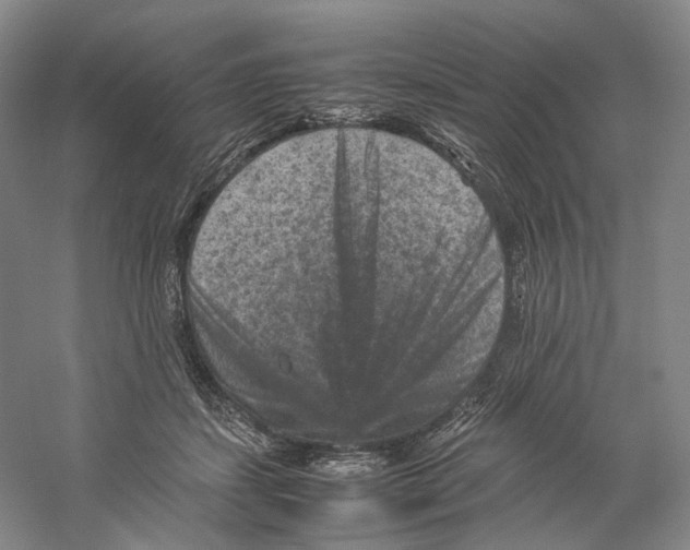 X0000059250459200511111645