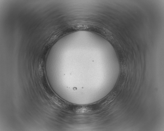 X0000059250460200511111645