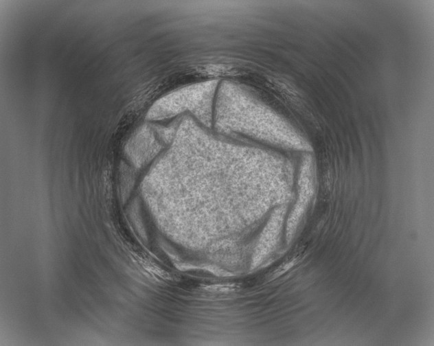 X0000059250461200511111645