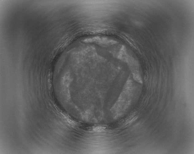 X0000059250462200511111646