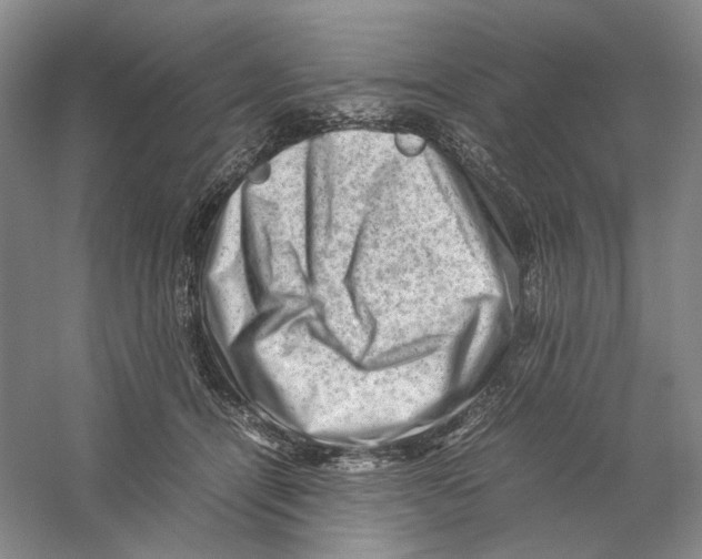 X0000059250464200511111646