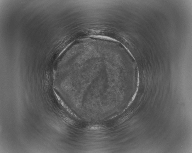 X0000059250467200511111646