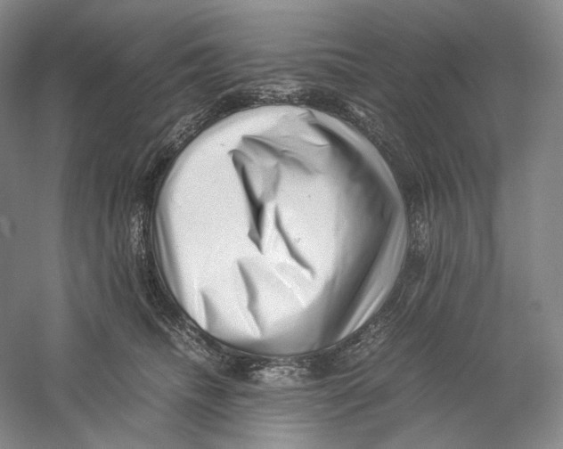 X0000059250468200511111646