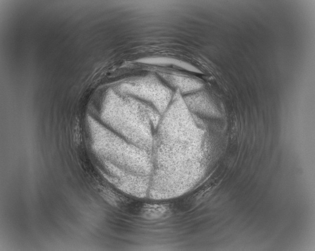 X0000059250469200511111646