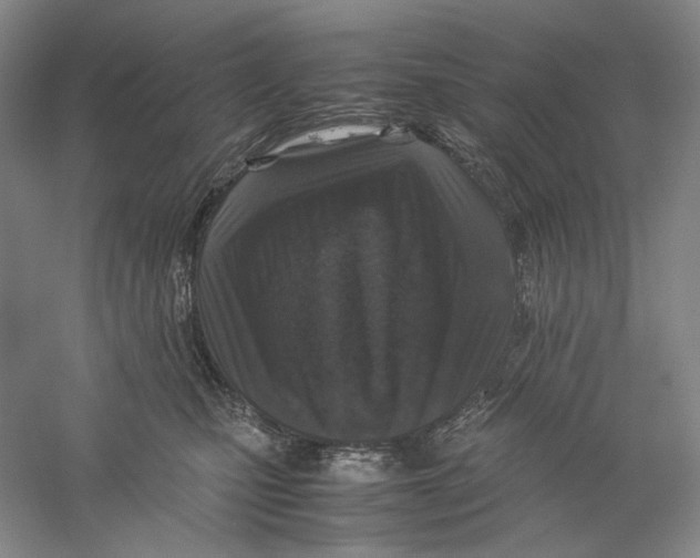 X0000059250471200511111646