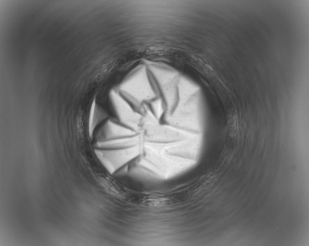 X0000059250472200511111646