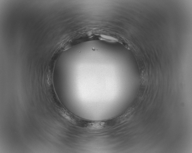 X0000059250474200511111646