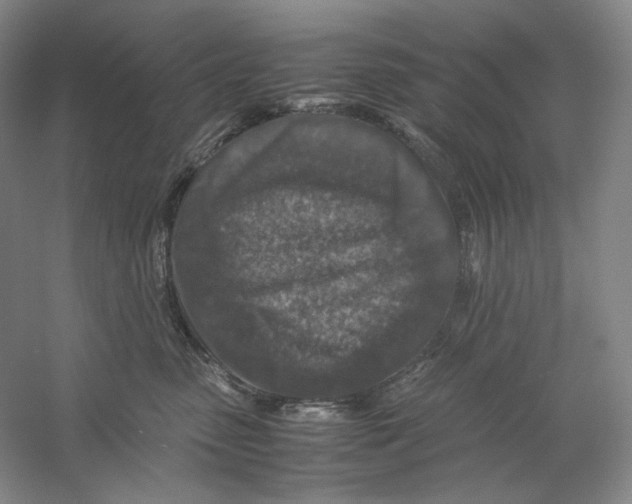 X0000059250475200511111646