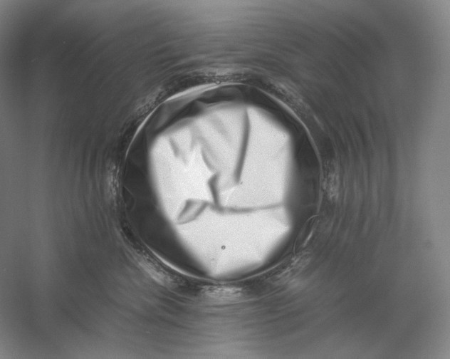 X0000059250476200511111646