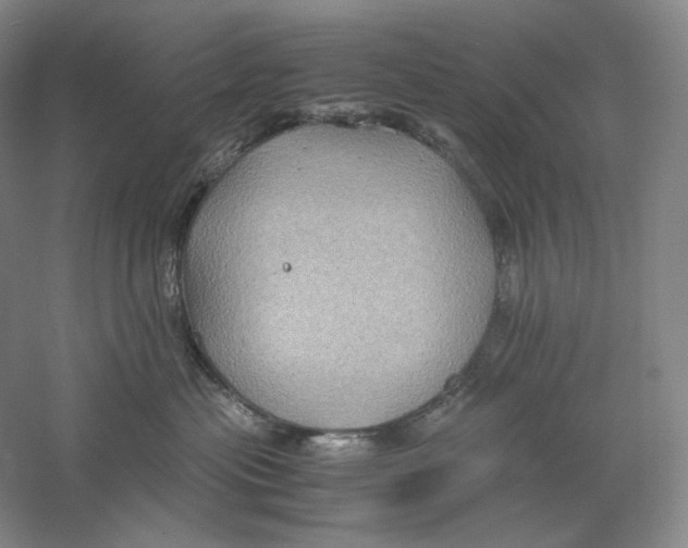 X0000059250477200511111646