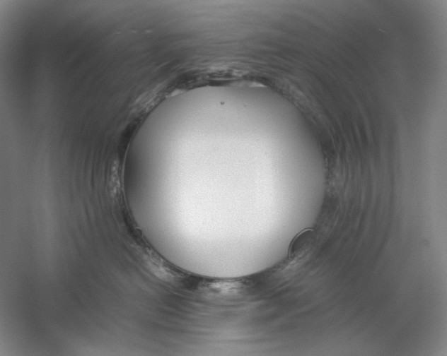 X0000059250478200511111646