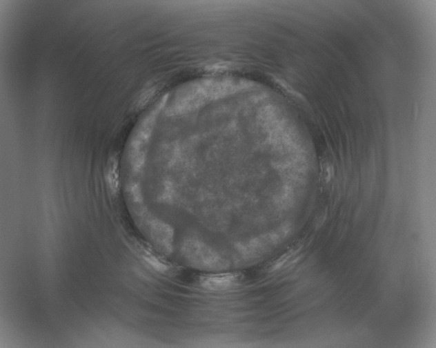 X0000059250479200511111646