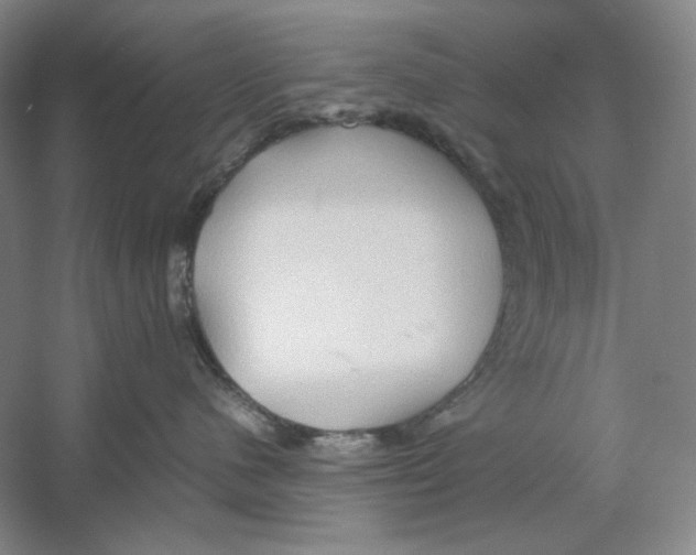 X0000059250480200511111646