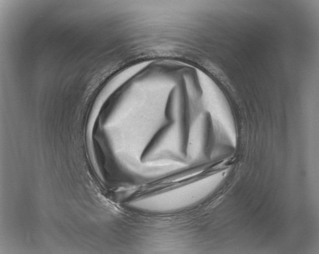 X0000059250481200511111645