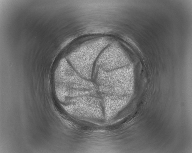 X0000059250483200511111645