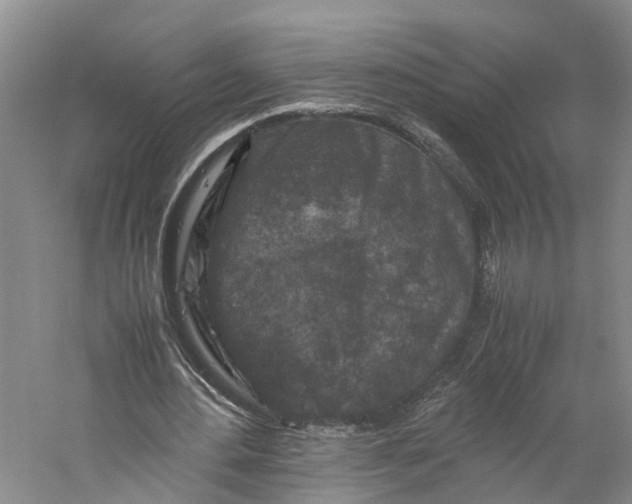 X0000059250484200511111645