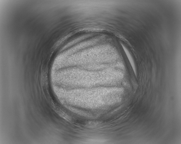 X0000059250487200511111645