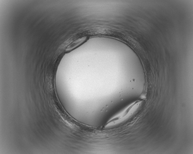 X0000059250489200511111645