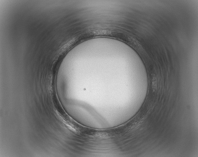 X0000059250490200511111645