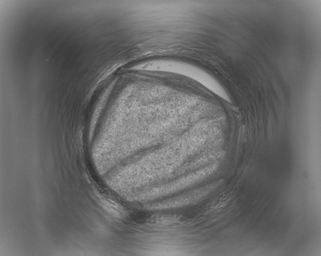 X0000059250491200511111645