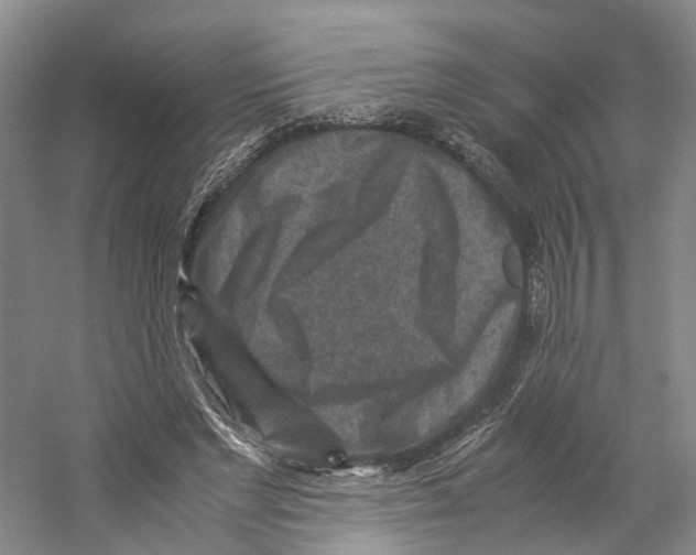 X0000059250493200511111645