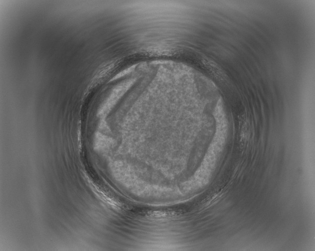 X0000059250494200511111645