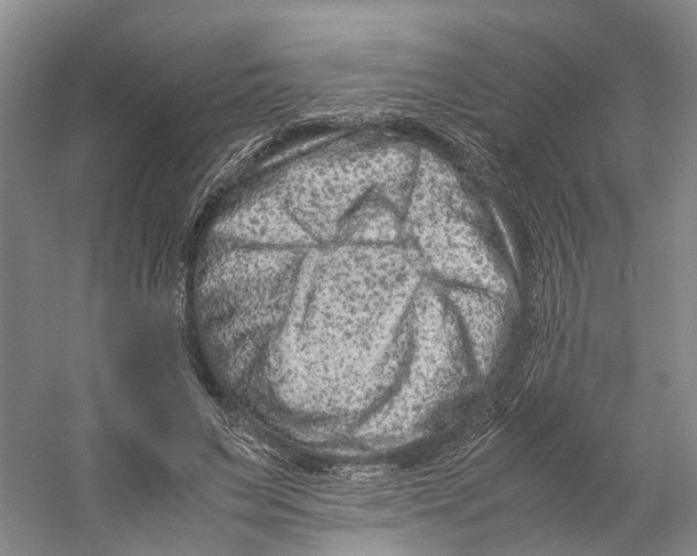 X0000059250495200511111645